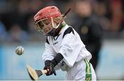 23 February 2014; Members of the Faughs GAA Club Under 11 hurling team play in an inter team game at half time during the Dublin v Clare, Allianz Hurling League, Division 1A Round 2, game at Parnell Park, Dublin. Picture credit: Stephen McCarthy / SPORTSFILE