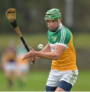 23 February 2014; Joe Bergin, Offaly. Allianz Hurling League Division 1B Round 2, Wexford v Offaly, O'Kennedy Park, New Ross, Co. Wexford. Picture credit: Matt Browne / SPORTSFILE