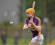 23 February 2014; Eanna Martin, Wexford. Allianz Hurling League Division 1B Round 2, Wexford v Offaly, O'Kennedy Park, New Ross, Co. Wexford. Picture credit: Matt Browne / SPORTSFILE