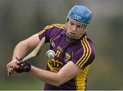 23 February 2014; Jack Guiney, Wexford. Allianz Hurling League Division 1B Round 2, Wexford v Offaly, O'Kennedy Park, New Ross, Co. Wexford. Picture credit: Matt Browne / SPORTSFILE