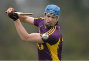 23 February 2014; Jack Guiney, Wexford. Allianz Hurling League Division 1B Round 2, Wexford v Offaly, O'Kennedy Park, New Ross, Co. Wexford. Picture credit: Matt Browne / SPORTSFILE