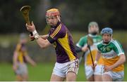 23 February 2014; Andrew Shore, Wexford. Allianz Hurling League Division 1B Round 2, Wexford v Offaly, O'Kennedy Park, New Ross, Co. Wexford. Picture credit: Matt Browne / SPORTSFILE