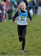 23 February 2014; Natasha Doyle, St. Laurence O'Toole A.C, Co. Carlow, on her way to winning the Under 13 Girls 1500m race during the Woodie’s DIY Intermediate, Master & Juvenile Development Cross Country Championships of Ireland. Cow Park, Dunboyne, Co. Meath. Picture credit: Ramsey Cardy / SPORTSFILE
