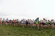 23 February 2014; A general view of the Intermediate Men's 8,000m race during the Woodie’s DIY Intermediate, Master & Juvenile Development Cross Country Championships of Ireland. Cow Park, Dunboyne, Co. Meath. Picture credit: Ramsey Cardy / SPORTSFILE