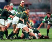 19 November 2000; Joost Van Der Westhuizen, South Africa. International friendly, Ireland v South Africa, Lansdowne Road, Dublin. Picture credit: Ray Lohan / SPORTSFILE