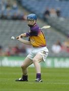 24 July 2005; Rory Jacob, Wexford. Guinness All-Ireland Senior Hurling Championship Quarter-Final, Wexford v Clare, Croke Park, Dublin. Picture credit; Ray McManus / SPORTSFILE