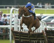 28 July 2005; Robert, with Paddy Flood up, clears the last on their way to winning the St James' Gate Novice Hurdle. Galway Races, Ballybrit, Co. Galway. Picture credit; Pat Murphy / SPORTSFILE