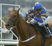 28 July 2005; Jockey Paddy Flood, on board Robert, checks over his shoulder on their way to winning the St James' Gate Novice Hurdle. Galway Races, Ballybrit, Co. Galway. Picture credit; Pat Murphy / SPORTSFILE