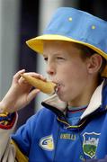 31 July 2005; A Tipperary supporter enjoys an ice cream. Guinness All-Ireland Senior Hurling Championship Quarter-Final, Galway v Tipperary, Croke Park, Dublin. Picture credit; Ray McManus / SPORTSFILE