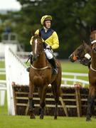 27 July 2005; Domnul Admiral, with Robert Power up, awaits the start of the HP Web Governance Service Handicap Hurdle. Galway Races, Ballybrit, Co. Galway. Picture credit; Pat Murphy / SPORTSFILE