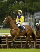 27 July 2005; Domnul Admiral, with Robert Power up, awaits the start of the HP Web Governance Service Handicap Hurdle. Galway Races, Ballybrit, Co. Galway. Picture credit; Pat Murphy / SPORTSFILE
