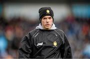 23 February 2014; Clare selector Louis Mulqueen. Allianz Hurling League, Division 1A, Round 2, Dublin v Clare, Parnell Park, Dublin. Picture credit: Stephen McCarthy / SPORTSFILE