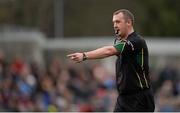 23 February 2014; Referee Alan Kelly, Galway. Allianz Hurling League, Division 1A, Round 2, Dublin v Clare, Parnell Park, Dublin. Picture credit: Stephen McCarthy / SPORTSFILE