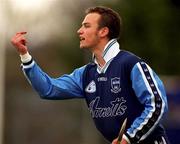 4 April 1999; Brendan McLoughlin of Dublin during the Church & General National Hurling League Division 1A match between Dublin and Limerick at Parnell Park in Dublin. Photo by Ray McManus/Sportsfile