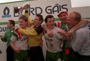 22 May 1993; Cork City players, from left, Anthony Buckley, Phil Harrington, John Caulfield, Dave Barry and Liam Murphy celebrate with the Premier Division trophy after the Harp Lager National League Premier Division Final play-off match between Shelbourne and Cork City at the RDS Arena in Dublin. Photo by David Maher/Sportsfile