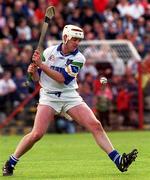18 April 1999; Stephen Frampton of Waterford during the Church and General National Hurling League Division 1B match between Tipperary and Waterford at Semple Stadium in Thurles, Tipperary. Photo by Aoife Rice/Sportsfile