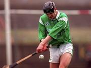 11 April 1999; Stephen Lucey of Limerick during the Church & General National Hurling League Division 1A match between Limerick and Kerry at the Gaelic Grounds in Limerick. Photo by Brendan Moran/Sportsfile