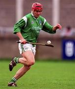 4 April 1999; TJ Ryan of Limerick during the Church & General National Hurling League Division 1A match between Dublin and Limerick at Parnell Park in Dublin. Photo by Ray McManus/Sportsfile