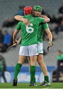 1 March 2014; Leinster players Lee Chin, left, and Matthew Hanlon celebrate after the game. GAA Hurling Interprovincial Championship Final, Leinster v Connacht, Croke Park, Dublin. Picture credit: Dáire Brennan / SPORTSFILE