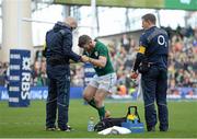 8 March 2014; Gordon D'Arcy, Ireland, is assessed to by team doctor Dr. Eanna Falvey after picking up an injury in the first half. RBS Six Nations Rugby Championship, Ireland v Italy, Aviva Stadium, Lansdowne Road, Dublin.  Picture credit: Brendan Moran / SPORTSFILE