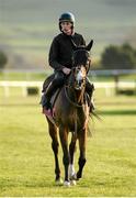 10 March 2014; Jezki, with Paddy Kennedy up, on the gallops ahead of the Cheltenham Racing Festival 2014. Prestbury Park, Cheltenham, England. Picture credit: Barry Cregg / SPORTSFILE