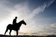 10 March 2014; Jezki, with Paddy Kennedy up, on the gallops ahead of the Cheltenham Racing Festival 2014. Prestbury Park, Cheltenham, England. Picture credit: Ramsey Cardy / SPORTSFILE