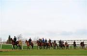 10 March 2014; The Willie Mullins stable arrives led by Hurricane Fly, with Ruby Walsh up, on the gallops ahead of the Cheltenham Racing Festival 2014. Prestbury Park, Cheltenham, England. Picture credit: Ramsey Cardy / SPORTSFILE