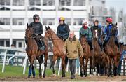 10 March 2014; The Willie Mullins stable arrives led by Hurricane Fly, with Ruby Walsh up, on the gallops ahead of the Cheltenham Racing Festival 2014. Prestbury Park, Cheltenham, England. Picture credit: Ramsey Cardy / SPORTSFILE
