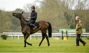 10 March 2014; Black Hercules, with Patrick Mullins up, with trainer Willie Mullins on the gallops ahead of the Cheltenham Racing Festival 2014. Prestbury Park, Cheltenham, England. Picture credit: Barry Cregg / SPORTSFILE