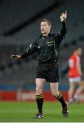 1 March 2014; Padraig Hughes, referee. Allianz Football League, Division 1, Round 3, Dublin v Cork, Croke Park, Dublin. Picture credit: Ray McManus / SPORTSFILE