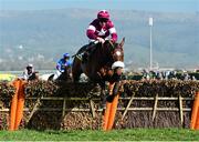 14 March 2014; Tiger Roll, with Davy Russell up, jumps the last on their way to winning the JCB Triumph Hurdle. Cheltenham Racing Festival 2014, Prestbury Park, Cheltenham, England. Picture credit: Barry Cregg / SPORTSFILE