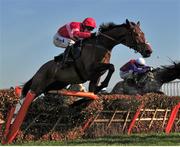 14 March 2014; Lac Fontana, with Daryl Jacob up, jumps the last on their way to winning the Vincent O'Brien County Handicap Hurdle. Cheltenham Racing Festival 2014, Prestbury Park, Cheltenham, England. Picture credit: Barry Cregg / SPORTSFILE