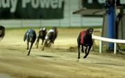 17 September 2005; He Said So, on the way to winning the Paddy Power Irish Derby Final, Shelbourne Park, Dublin. Picture credit; Damien Eagers / SPORTSFILE