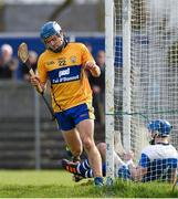 16 March 2014; Shane O'Donnell celebrates scoring the fifth Clare goal.. Allianz Hurling League, Division 1A, Round 4, Clare v Waterford, Cusack Park, Ennis, Co. Clare. Picture credit: Ray McManus / SPORTSFILE