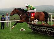 30 April 1999; Istabraq with Charlie Swan up clear the last on their way to win the Shell Champion Hurdle at Punchestown racecourse in Kildare. Photo by Matt Browne/Sportsfile