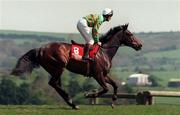 28 April 1999; Joe Mac with Conor O'Dwyer up, and owned by JP McManus, canters to the start of the Stanley Cooker Champion Novice Hurdle at Punchestown Racecourse in Kildare. The horse collapsed and died after finishing sixth in the race. Photo by Matt Browne/Sportsfile