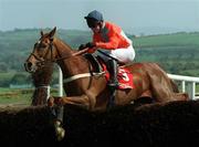 27 April 1999; Celibate with Richard Dunwoody up, jump the last on their way to winning the BMW Steeplechase at Punchestown racecourse in Kildare. Photo by Matt Browne/Sportsfile