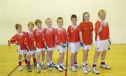 7 October 2005; St Bridgets club members from left Donal Timoney, Ciaran Galvin, Oisin Galvin, Sean O'Malley, Brian O'Malley, Conor Timoney, Siobhan Cahill and Ciaran Cahill, Dublin, at the announcement of a new Mini-Handball promotion which will see a pack of free handball equipment, games ideas and in-school coaching available for primary schools and juvenile sections in GAA Clubs throughout the country. Croke Park, Dublin. Picture credit: Damien Eagers / SPORTSFILE