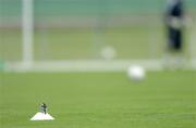 10 October 2005; A small bird lands on a training marker during Republic of Ireland squad training. Malahide FC, Malahide, Dublin. Picture credit: David Maher / SPORTSFILE