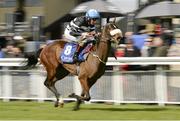 23 March 2014; Beach Belle, with Chris Hayes up, on their way to winning The Tally Ho Stud European Breeders Fund Maiden. Curragh Racecourse, The Curragh, Co. Kildare. Picture credit: Barry Cregg / SPORTSFILE