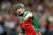 23 October 2005; Eoin McCormack, James Stephen's, celebrates his goal against Ballyhale Shamrocks. Kilkenny Senior Hurling Championship Final, James Stephen's v Ballyhale Shamrocks, Nowlan Park, Co. Kilkenny. Picture credit: Matt Browne / SPORTSFILE