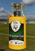 23 March 2014; A general view of the FAI Junior Cup. FAI Junior Cup, Quarter-Final, Carew Park FC v St Michaels FC, Carew Park, Limerick. Picture credit: Diarmuid Greene / SPORTSFILE