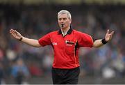 30 March 2014; Referee Johnny Ryan. Allianz Hurling League Roinn 1A, Relegation Play-Off, Waterford v Dublin, Walsh Park, Waterford. Picture credit: Stephen McCarthy / SPORTSFILE