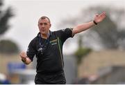 30 March 2014; Match referee Alan Kelly. Allianz Hurling League Division 1, Quarter-Final, Laois v Clare, O'Moore Park, Portlaoise, Co. Laois. Picture credit: Ray McManus / SPORTSFILE