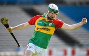 6 April 2014; Marty Kavanagh, Carlow, celebrates after scoring the 3rd goal against Kerry. Allianz Hurling League, 2A Final, Kerry v Carlow, Semple Stadium, Thurles, Co. Tipperary. Picture credit: Matt Browne / SPORTSFILE