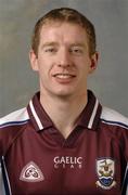 26 November 2005; Ollie Canning, Galway, Left Full Back on the 2005 Vodafone All Stars Hurling team. Citywest Hotel, Dublin. Picture credit: Ray McManus / SPORTSFILE