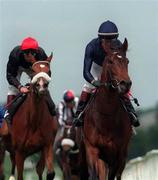 29 May 1999; Amethyst, with MJ Kinane up at Naas Racecourse in Naas, Co Kildare. Photo by Sportsfile
