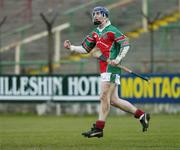 27 November 2005; Matthew Ruth, James Stephens, celebrates scoring his sides second and last minute goal to win the game. Leinster Club Senior Hurling Championship Final, UCD v James Stephens, O'Moore Park, Portlaoise, Co. Laois. Picture credit: Brendan Moran / SPORTSFILE
