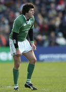 26 November 2005; Shane Horgan, Ireland. permanent tsb International Friendly 2005-2006, Ireland v Romania, Lansdowne Road, Dublin. Picture credit: Brian Lawless / SPORTSFILE