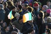 26 November 2005; Fans fly their flags. permanent tsb International Friendly 2005-2006, Ireland v Romania, Lansdowne Road, Dublin. Picture credit: Brian Lawless / SPORTSFILE